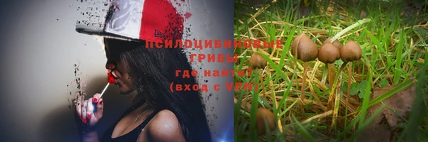 прущий лед Алексеевка