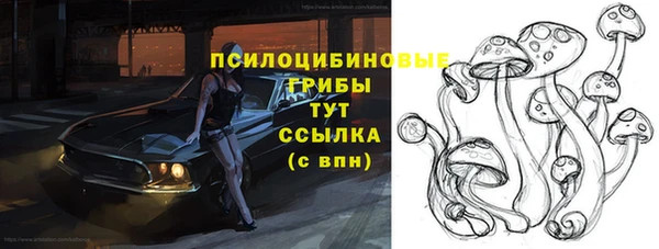 хмурый Алексин