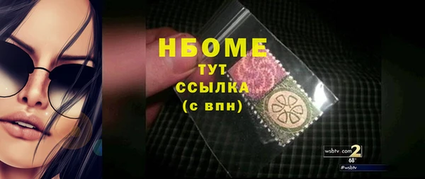 хмурый Алексин