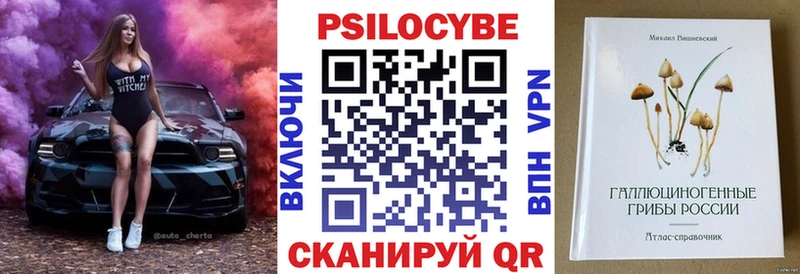 Галлюциногенные грибы Psilocybe  Люберцы 